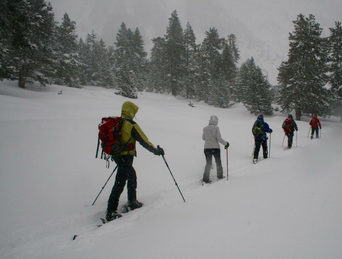 Amaroq Explorers Basecamp Tremp Zewnętrze zdjęcie